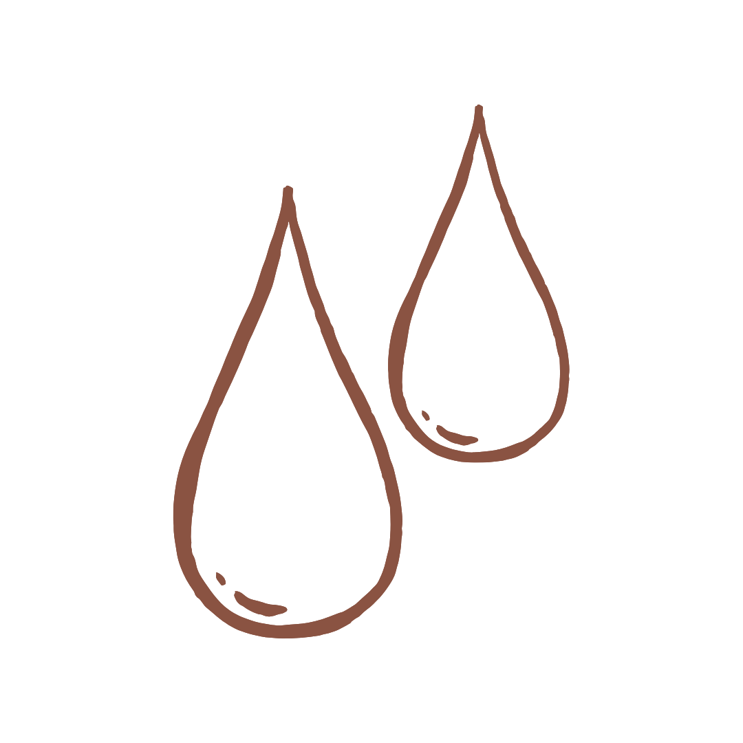 Vitamin A (Retinal)