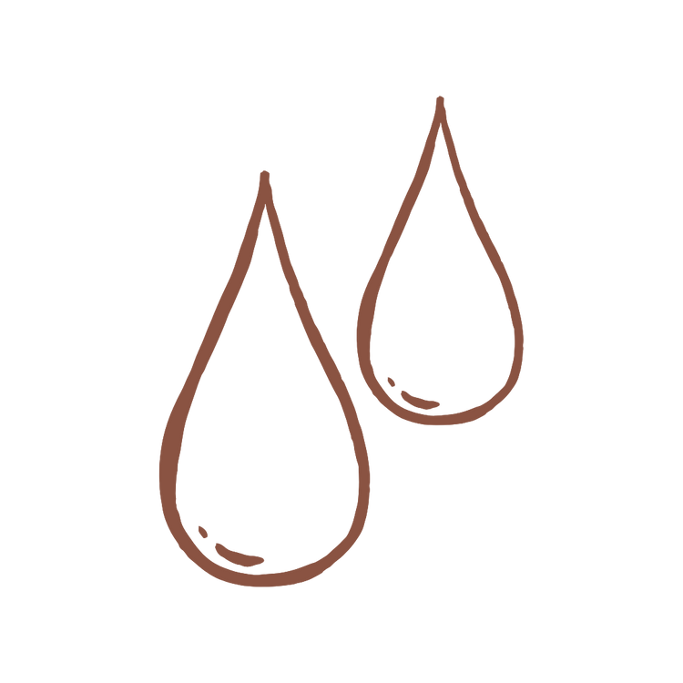 Vitamin A (Retinal)